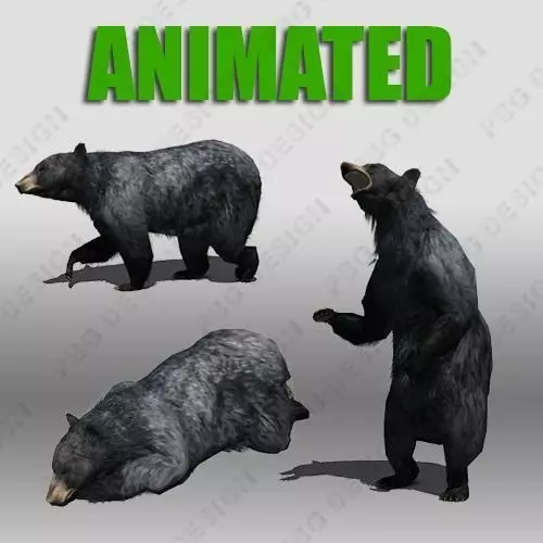 Black Bear Animated Low-poly 3D model_0