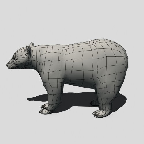 Black Bear Animated Low-poly 3D model_4