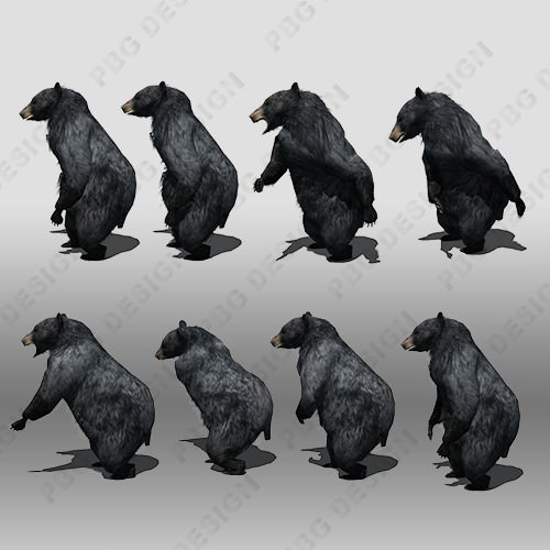 Black Bear Animated Low-poly 3D model_2