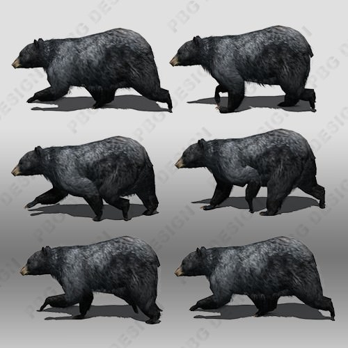 Black Bear Animated Low-poly 3D model_3