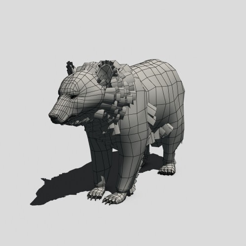 Black Bear Animated Low-poly 3D model_7