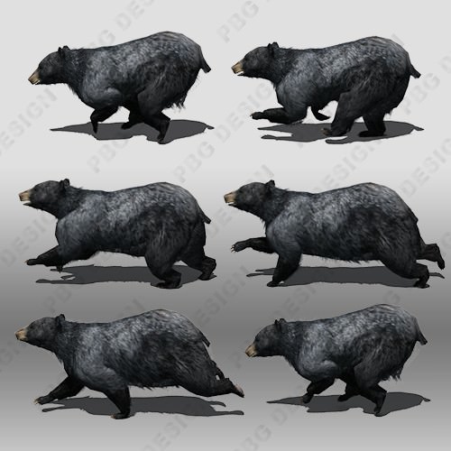 Black Bear Animated Low-poly 3D model_1