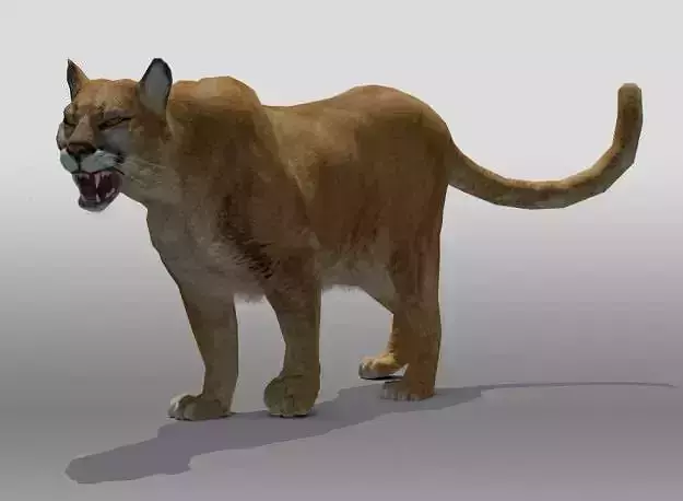 Mountain Lion 3D model