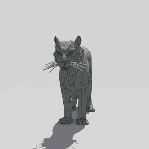 Mountain Lion Animated 3D model_5