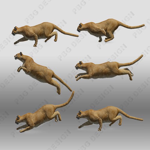 Mountain Lion Animated 3D model_1