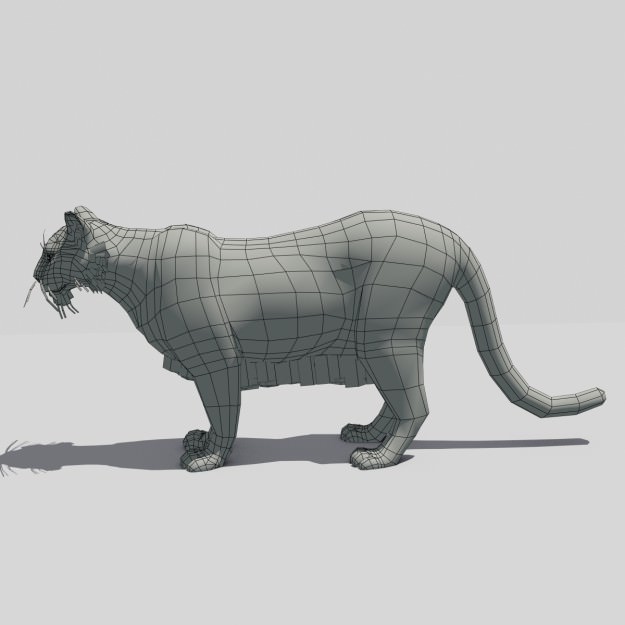 Mountain Lion Animated 3D model_4