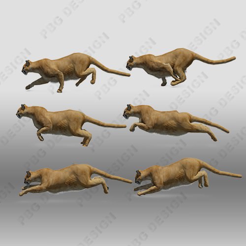 Mountain Lion Animated 3D model_2