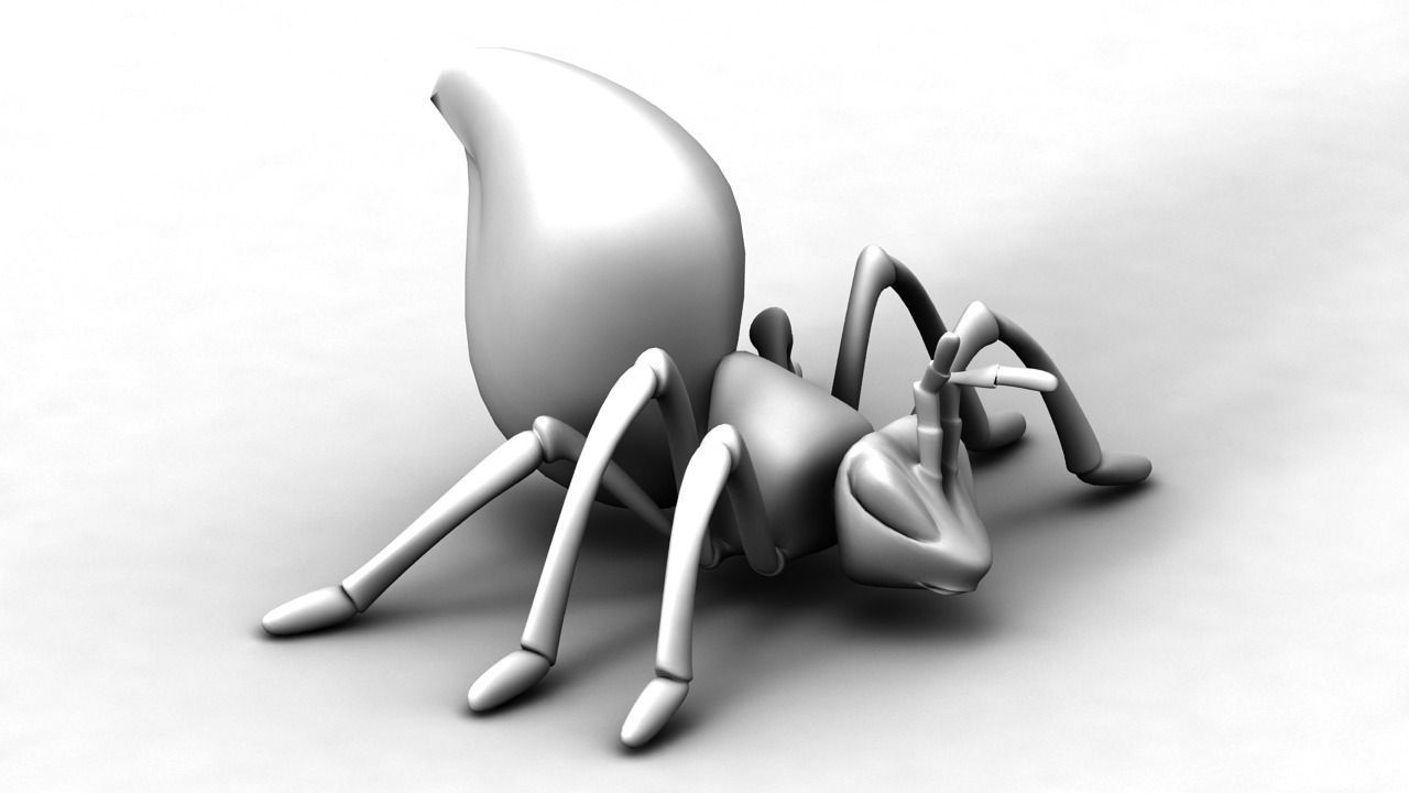 Ant model 3D model
