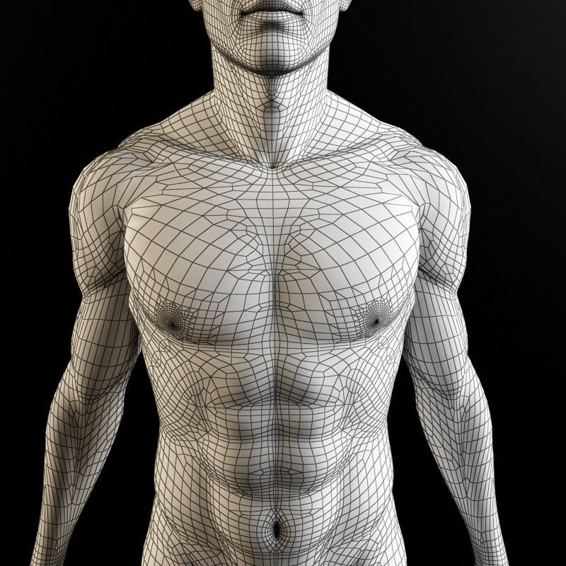 Heart and body 3D model_1