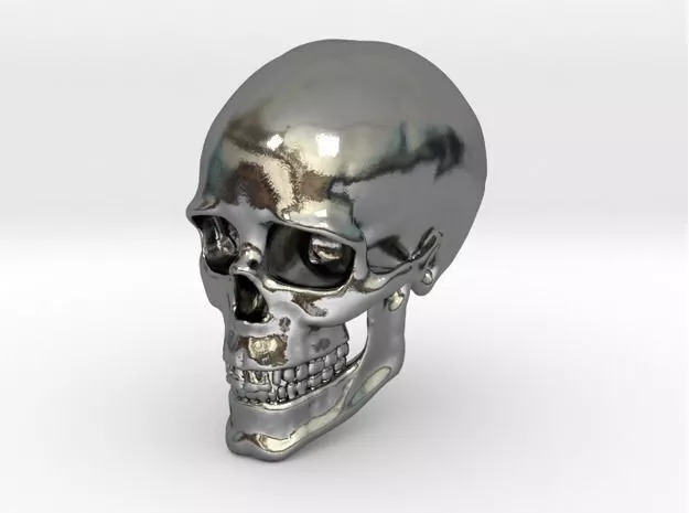 Human Skull 3D print model