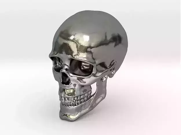 Human Skull