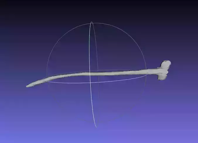 Psittacosaurus Anterior Cervical Rib Free 3D print model