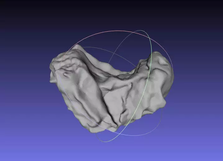 Psittacosaurus Atlas Vertebra Free 3D print model_0