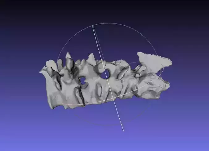 Psittacosaurus Cervical Vertebra 2 thru 7 Free 3D print model