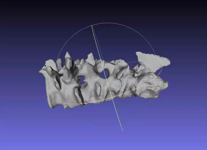 Psittacosaurus Cervical Vertebra 2 thru 7 Free 3D print model_0