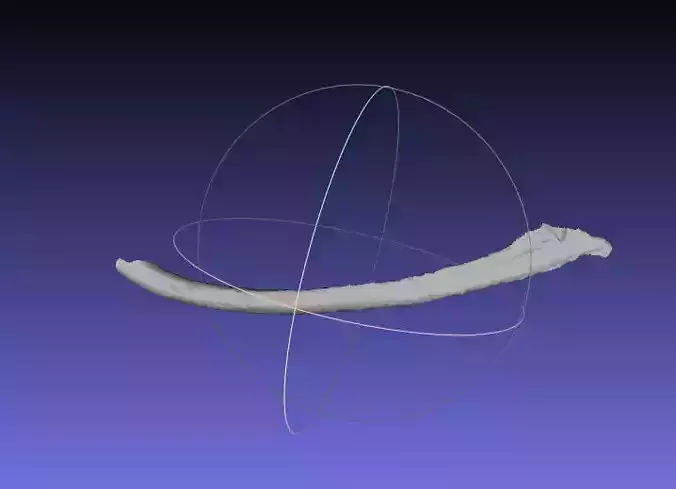 Psittacosaurus Left Dorsal Rib 2 Mirrored Free 3D print model