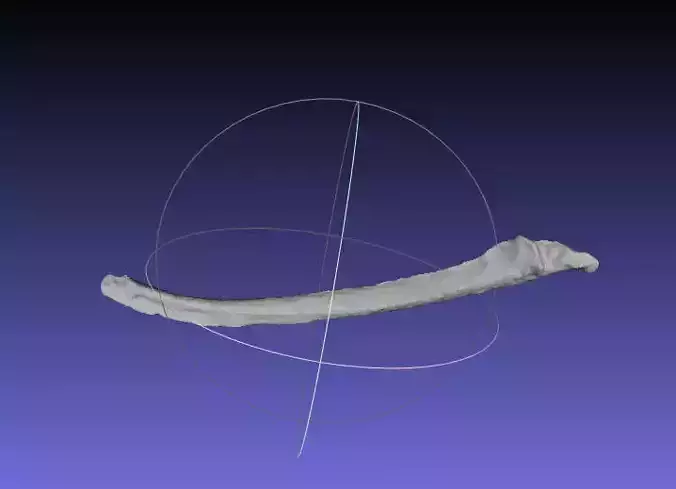 Psittacosaurus Left Dorsal Rib 2 Free 3D print model