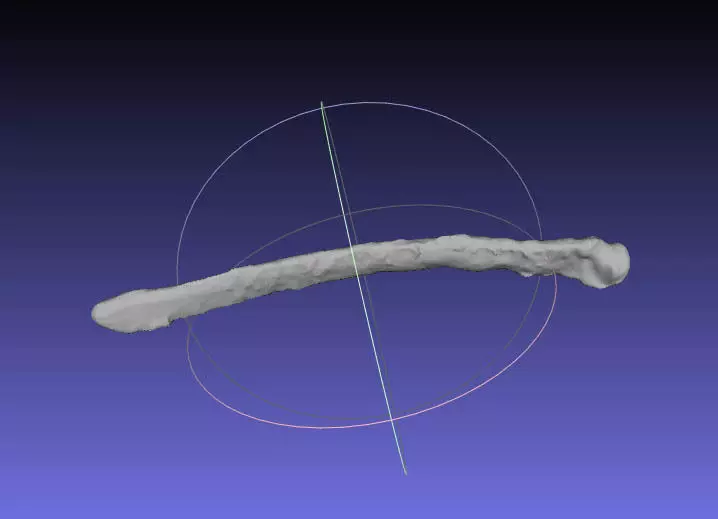 Psittacosaurus Right Dorsal Rib 2 Free 3D print model_0