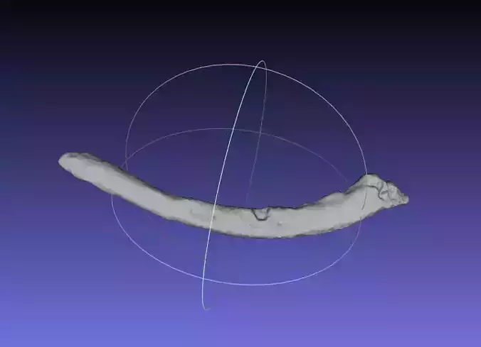 Psittacosaurus Right Dorsal Rib 4 Mirrored Free 3D print model