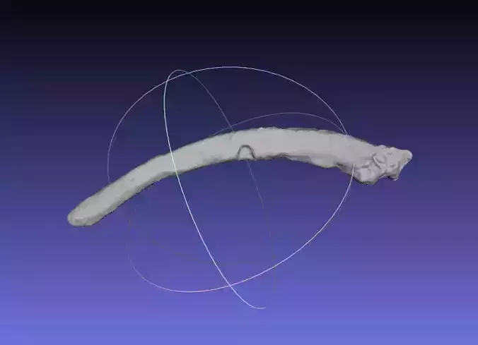 Psittacosaurus Right Dorsal Rib 4 Free 3D print model