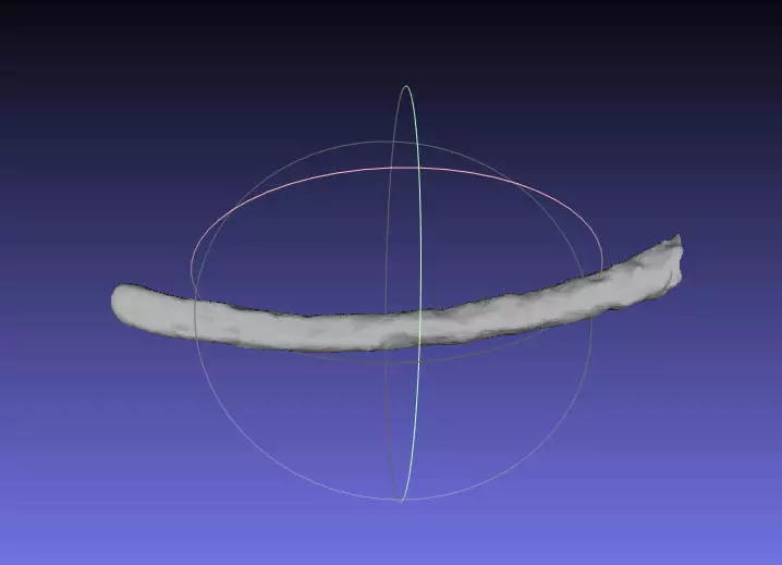 Psittacosaurus Right Dorsal Rib 5 Mirrored Free 3D print model_0