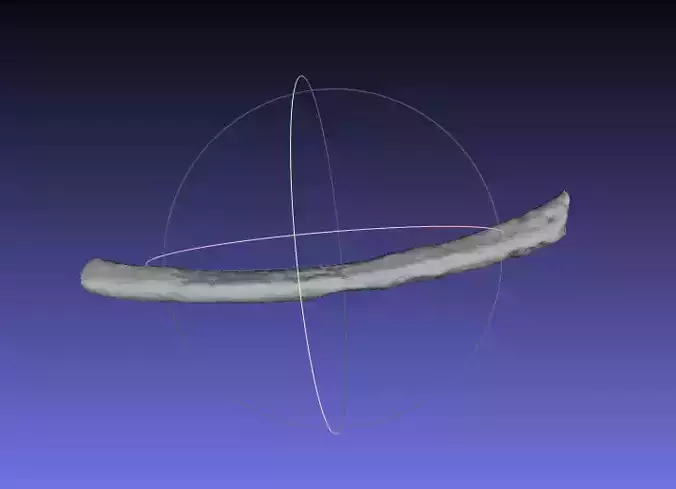 Psittacosaurus Right Dorsal Rib 5 Free 3D print model