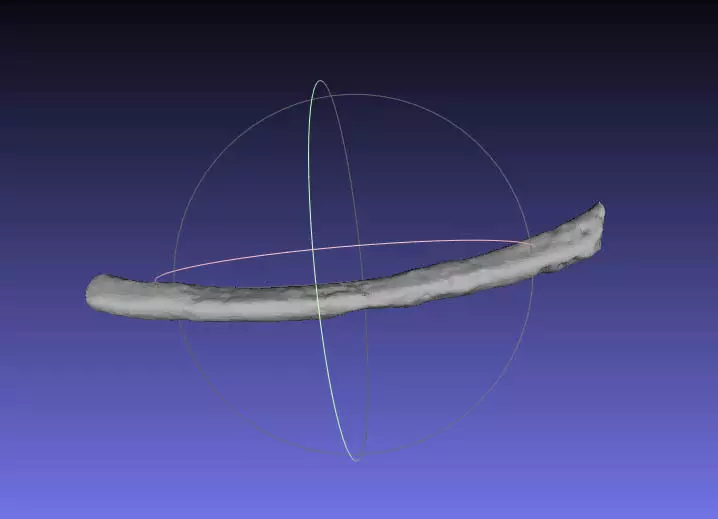 Psittacosaurus Right Dorsal Rib 5 Free 3D print model_0