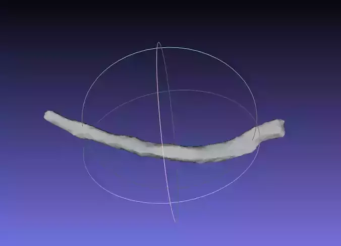 Psittacosaurus Right Dorsal Rib 1 Mirrored Free 3D print model