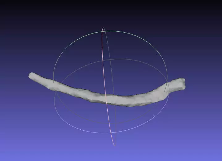 Psittacosaurus Right Dorsal Rib 1 Mirrored Free 3D print model_0