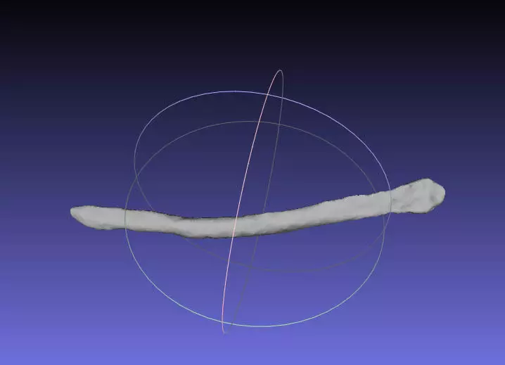 Psittacosaurus Right Dorsal Rib 3 Mirrored Free 3D print model_0