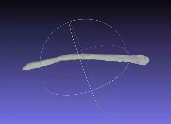 Psittacosaurus Right Dorsal Rib 3 Free 3D print model
