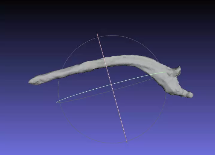 Psittacosaurus Right Rib 6 Mirrored Free 3D print model_0