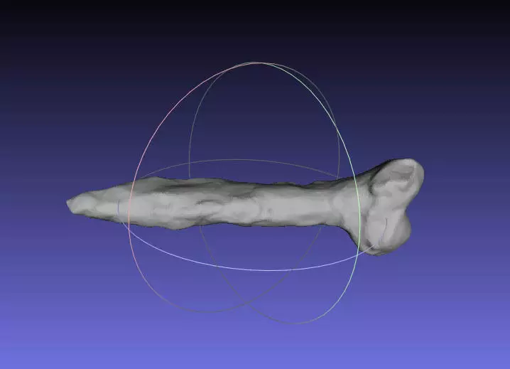 Psittacosaurus Chevron Free 3D print model_0