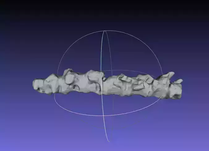 Psittacosaurus Most Distal Caudal Vertebrae Free 3D print model