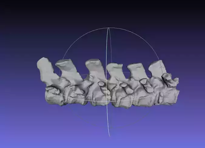 Psittacosaurus Dorsal Vertebrae 5 thru 10 Free 3D print model