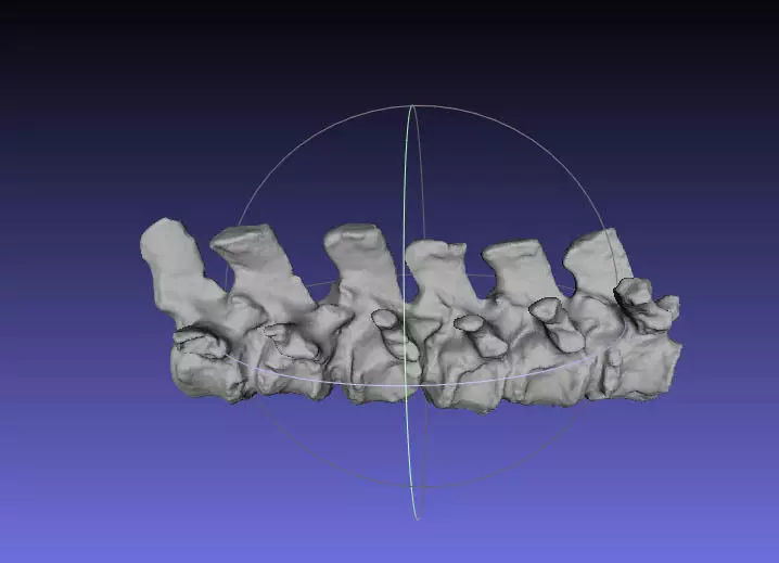 Psittacosaurus Dorsal Vertebrae 5 thru 10 Free 3D print model_0