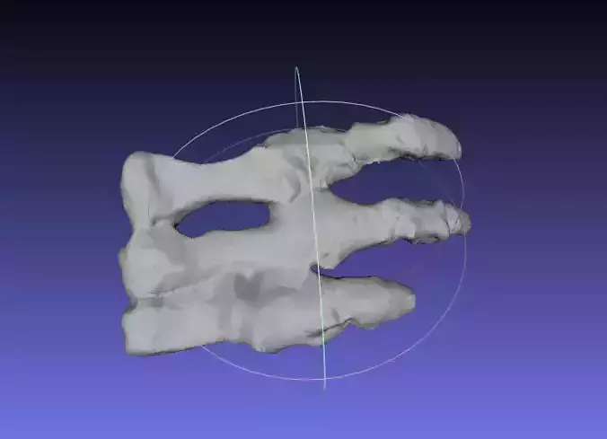 Psittacosaurus Left Hand Free 3D print model