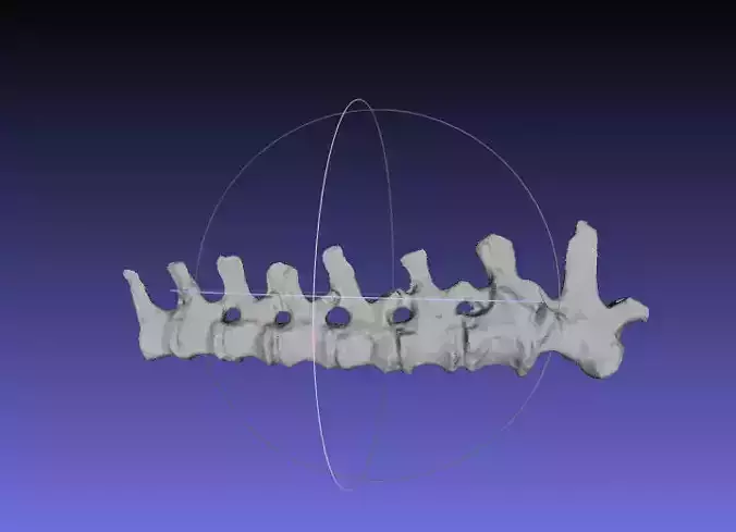 Psittacosaurus Medial Caudal Vertebrae Free 3D print model