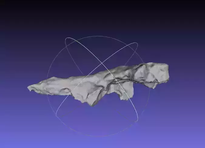 Psittacosaurus Posterior Cervical Rib Free 3D print model