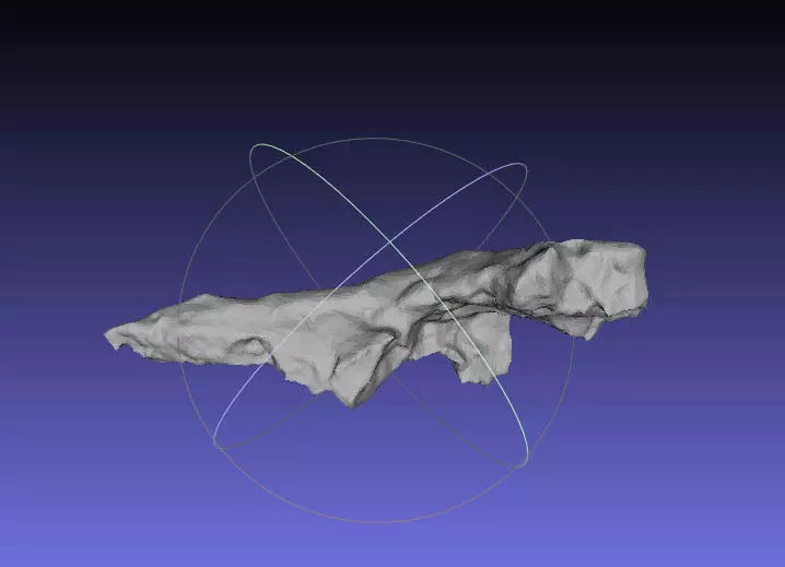 Psittacosaurus Posterior Cervical Rib Free 3D print model_0