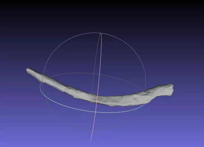 Psittacosaurus Right Dorsal Rib 1 Free 3D print model_0