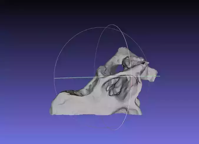 Psittacosaurus Right Half of Skull Free 3D print model