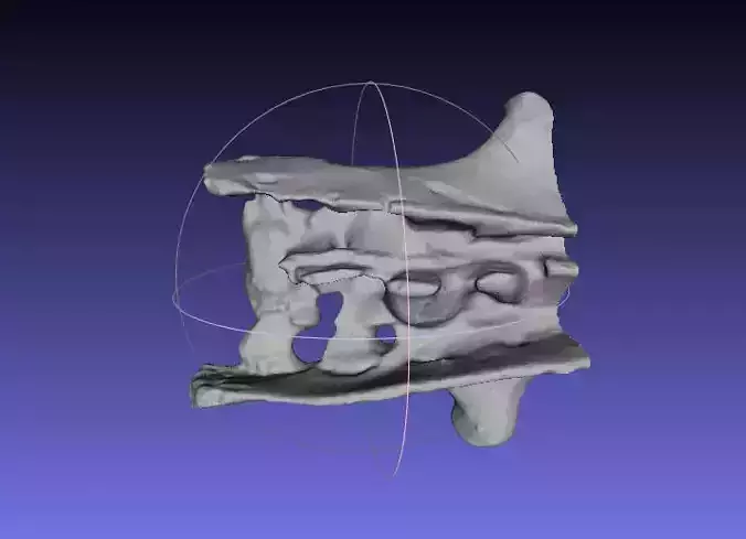 Psittacosaurus Sacrum and Ilium Free 3D print model