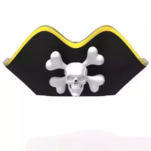 Pirate hat