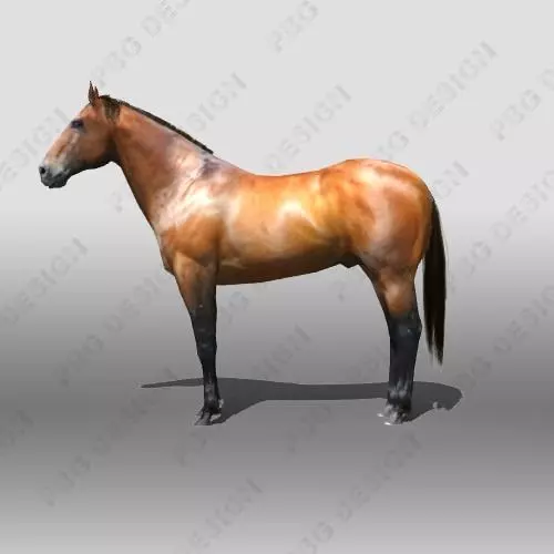 Horse running 3D model