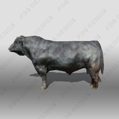 Black Bull 3D model_1