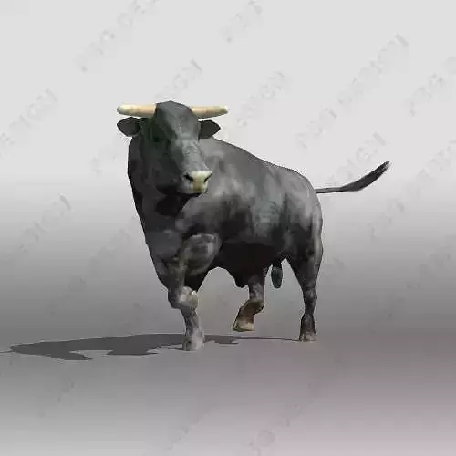 Black Bull 3D model