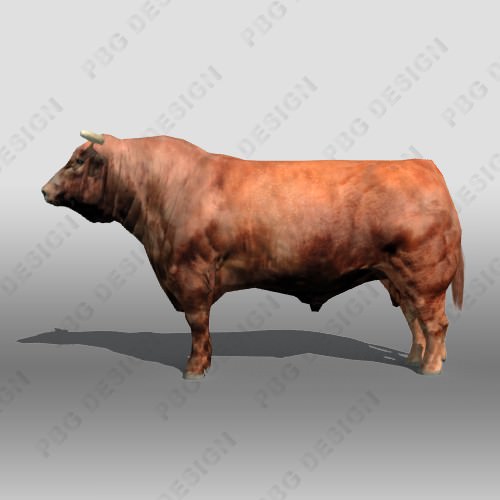 Black Bull 3D model_7