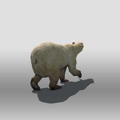 Polar Bear Low-poly 3D model_1