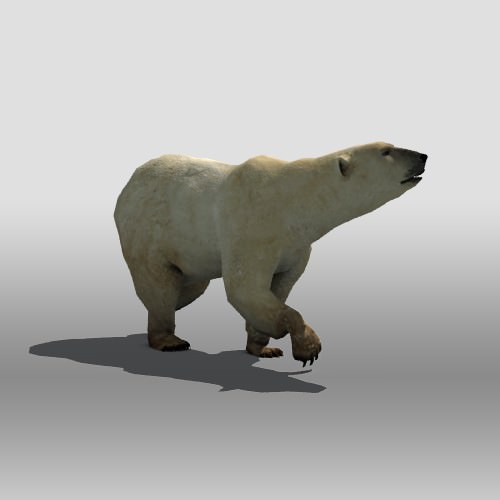 Polar Bear Low-poly 3D model_7